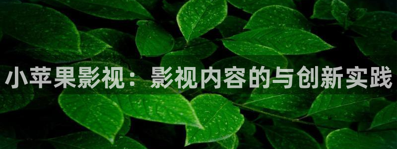 窝窝网电影电视剧大全