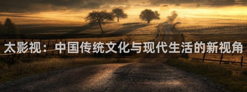 窝窝电影电视剧网