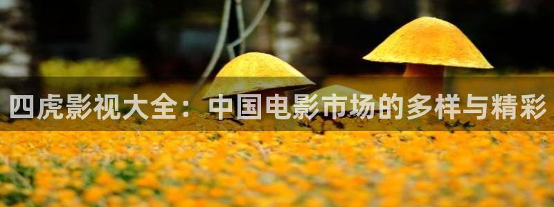 在线观看窝窝影院